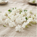 White Jasmine